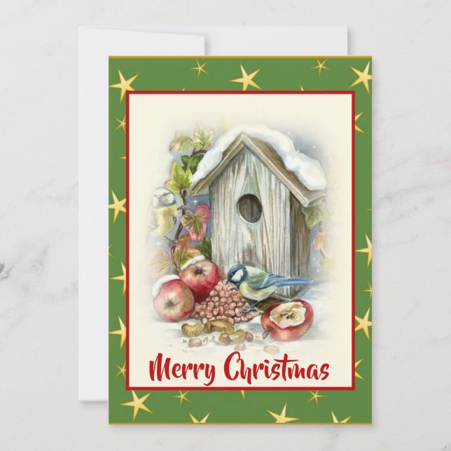 Cute Watercolor Merry Christmas Bird Snow Stars Holiday Card (Front)