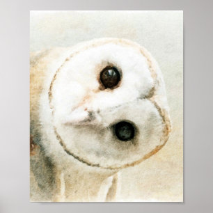 Cute Watercolor Owl Poster