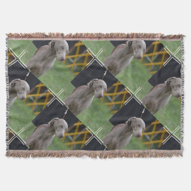 Cute Weimaraner Dog Throw Blanket (Front)