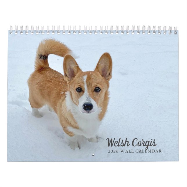 Cute Welsh Corgi Dog Photography 2026 Wall Calendar (Cover)
