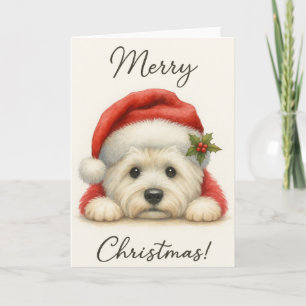 Cute Westie Card