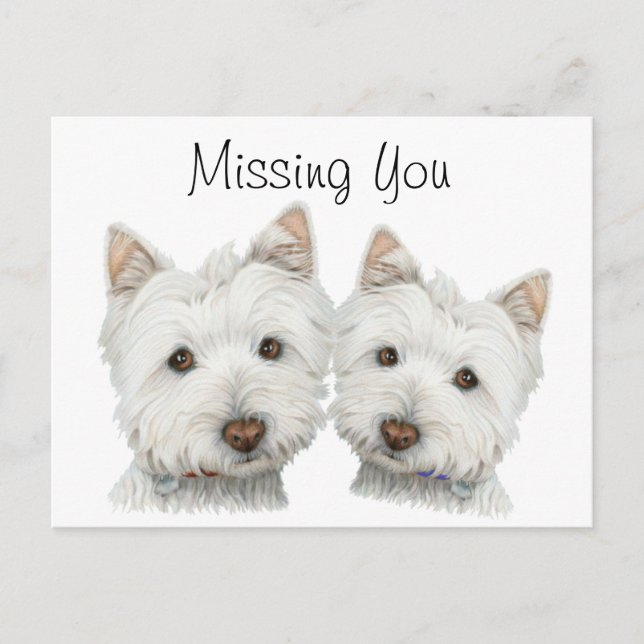 Cute Westie Dogs Postcard (Front)