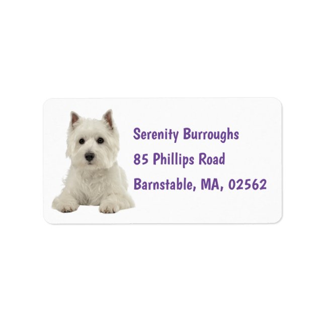 Cute Westie White Puppy Dog West Highland Terrier Label (Front)