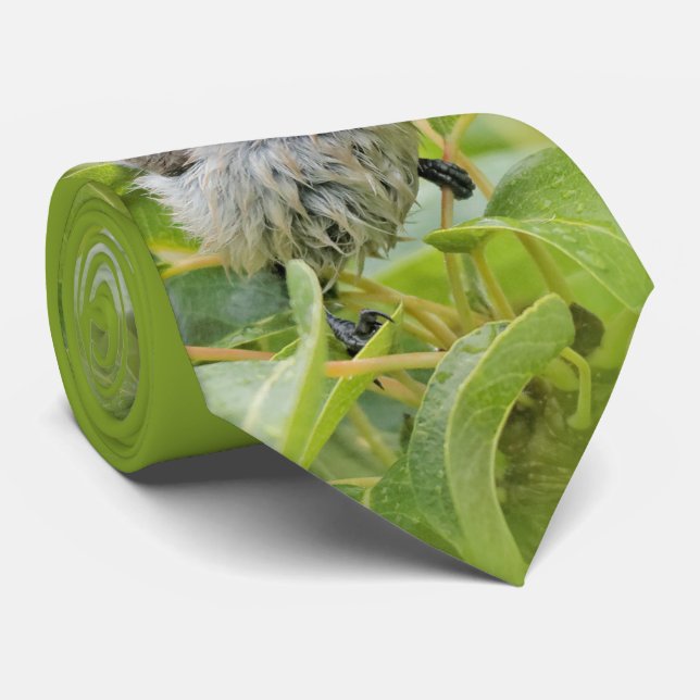 Cute Wet Wee Bushtit on the Laurel Tie (Rolled)