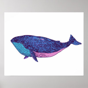 Cute Whale Art Drawing in Ocean Blue Poster