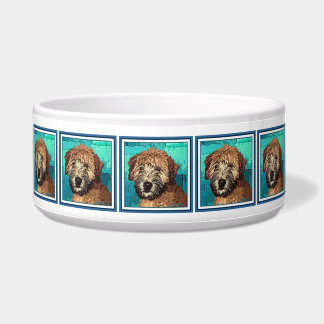 Cute Wheaten Terrier Puppy Dog with Wet Face