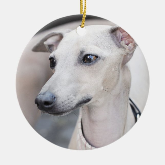 Cute Whippet Ceramic Ornament (Front)