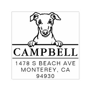 Cute Whippet Custom Dog Address Stamp