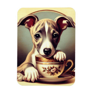 Cute Whippet Puppy Magnet