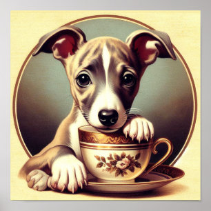 Cute Whippet Puppy Poster