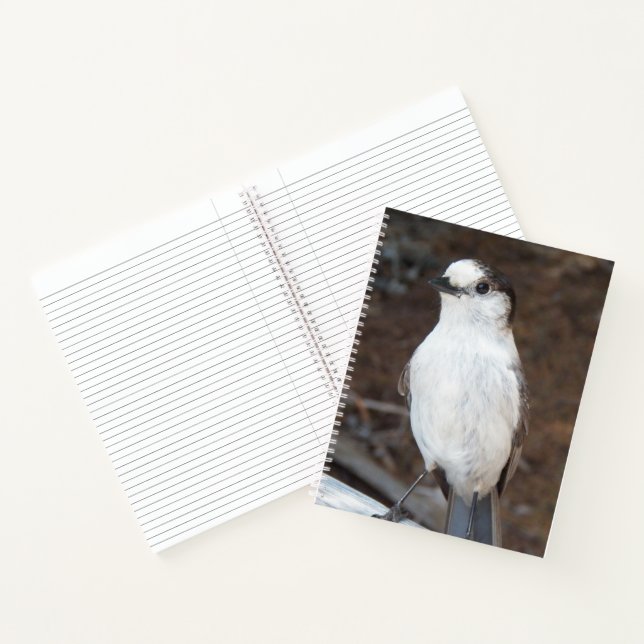 Cute Whiskey Jack Bird Nature Photo Notebook (Inside)