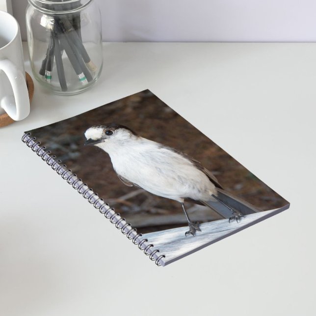 Cute Whiskey Jack Nature Photo Notebook (In Situ)