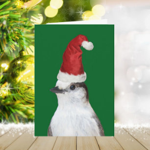 Cute Whiskey Jack Wearing Santa Hat Holiday Card