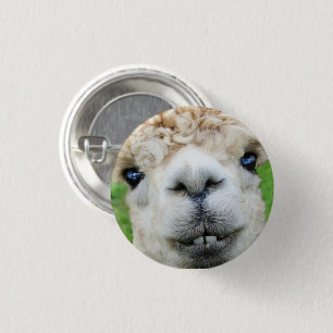 Cute White Alpaca Face 3 Cm Round Badge