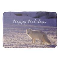 Cute White Arctic Fox Snow Winter Photography