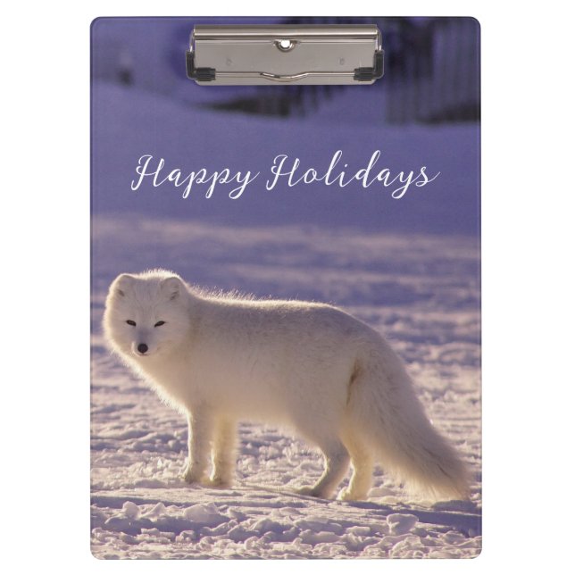 Cute White Arctic Fox Snow Winter Photography Clipboard (Front)