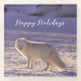 Cute White Arctic Fox Snow Winter Photography Glass Coaster