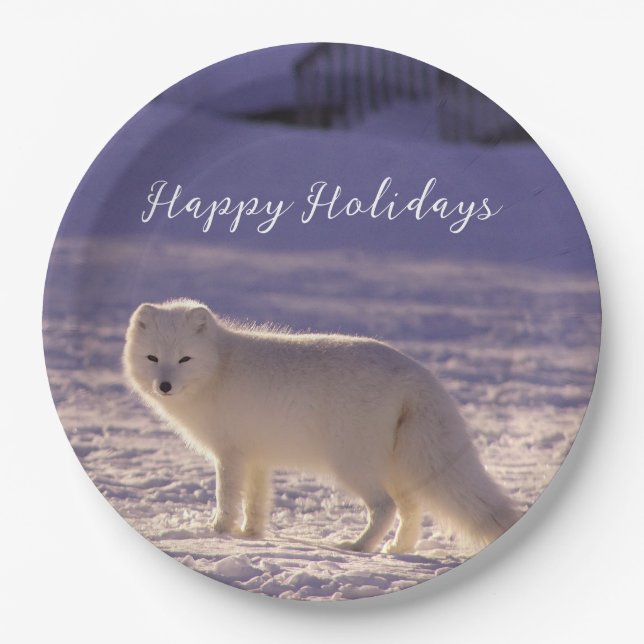 Cute White Arctic Fox Snow Winter Photography Paper Plate (Front)