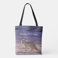 Cute White Arctic Fox Snow Winter Photography