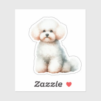 Cute White Bichon Frise Dog