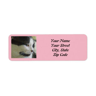 Cute White Black Cat Photo Return Address Label