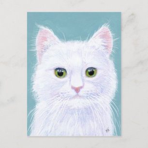 Cute White Cat with green eyes postcard