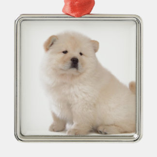 cute white chow chow puppy pup dog metal ornament