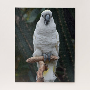 Cute white cockatoo jigsaw puzzle