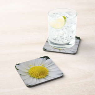 Cute, white daisy coaster