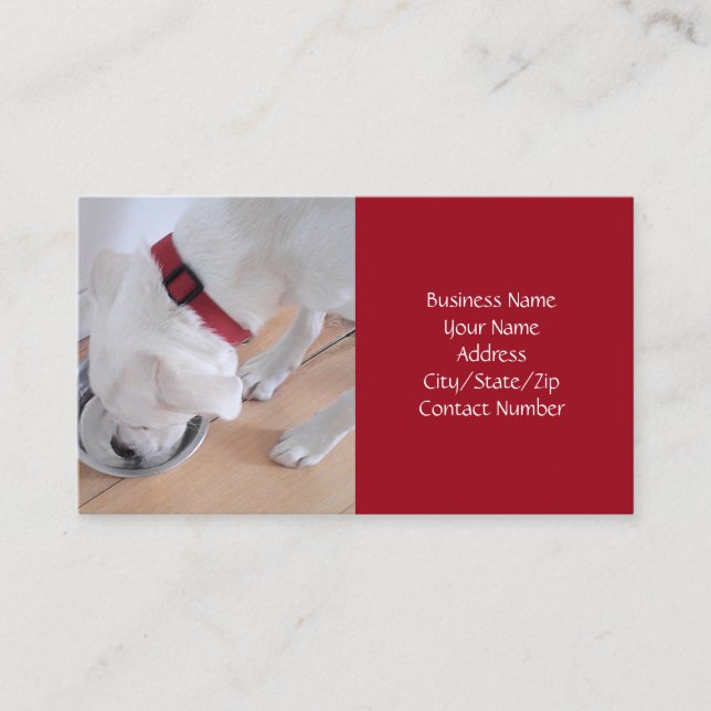 Cute White Dog Drinking Water Red Christmas Business Card (Front)