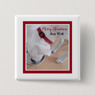 Cute White Dog Drinking Water Red Christmas Square 15 Cm Square Badge