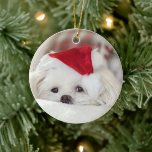 Cute White Dog in a Red Christmas Hat Ceramic Ornament