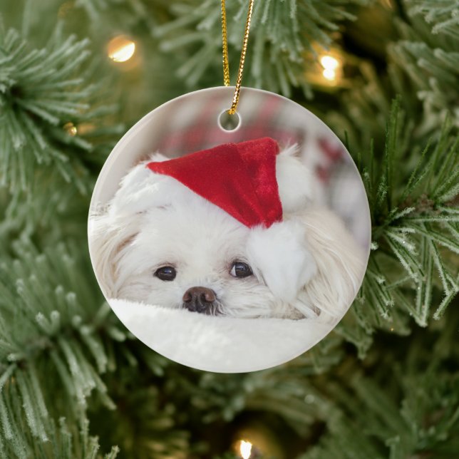 Cute White Dog in a Red Christmas Hat Ceramic Ornament (Tree)