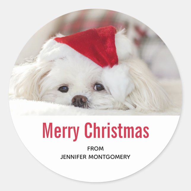 Cute White Dog in a Red Christmas Hat Classic Round Sticker (Front)
