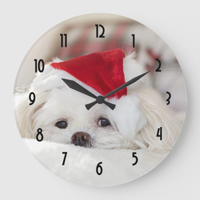 Cute White Dog in a Red Christmas Hat Large Clock (Front)