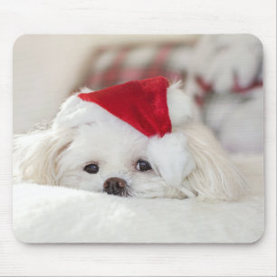 Cute White Dog in a Red Christmas Hat Mouse Pad