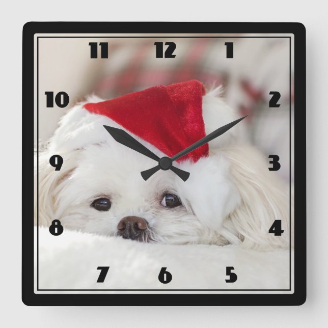 Cute White Dog in a Red Christmas Hat Square Wall Clock (Front)