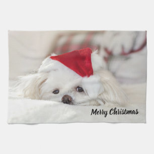 Cute White Dog in a Red Christmas Hat Tea Towel