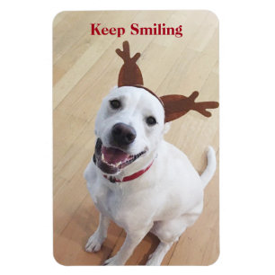 Cute White Dog Keep Smiling Encouraging Christmas Magnet