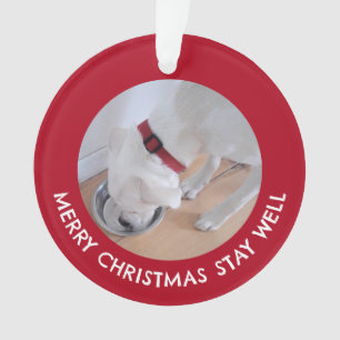Cute White Dog Photo Healthy Merry Christmas Red Ornament