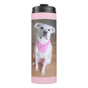Cute White Dog Sitting and Wearing Pink Scarf Thermal Tumbler