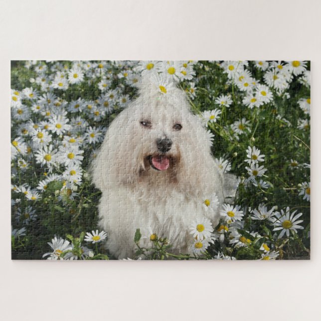 Cute White Dog Sitting Spring White Flower Garden Jigsaw Puzzle (Horizontal)
