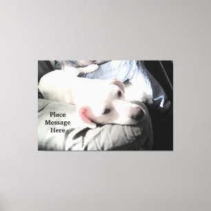 Cute White dog Sitting With Dad in the Sunlight Canvas Print