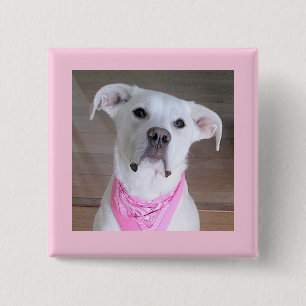 Cute White Dog Wearing Pink Scarf 15 Cm Square Badge