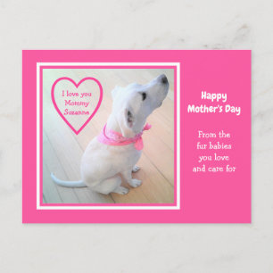 Cute White Dog Wearing Pink Scarf Mother's Day Postcard
