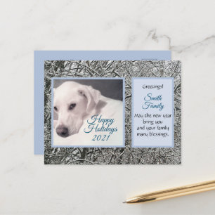 Cute White Dog Winter Theme Blue Holiday Postcard