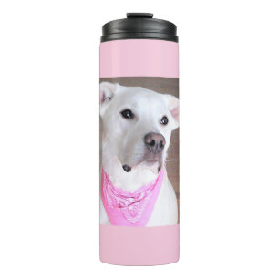 Cute White Dog With Pink Scarf and Soulful eyes Thermal Tumbler