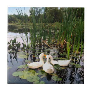 Cute White ducks, lily pads, cattails, lake shore Ceramic Tile