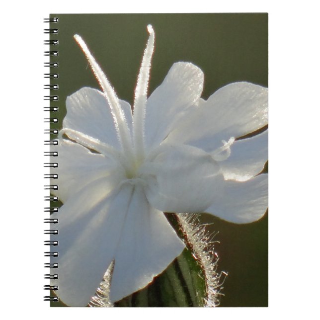 Cute white flower notebook (Front)