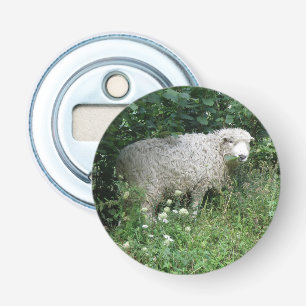 Cute White Fluffy Sheep Eating Bottle Opener
